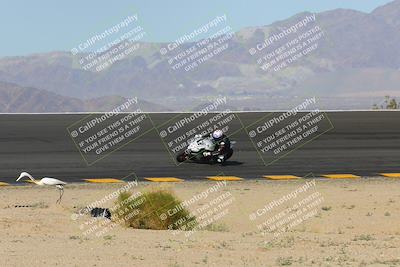 media/Feb-05-2023-SoCal Trackdays (Sun) [[b2340e6653]]/Bowl (10am)/